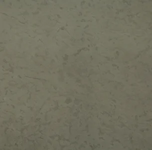 Spider White