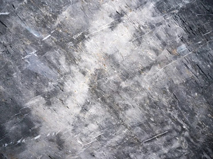 Levin Grey